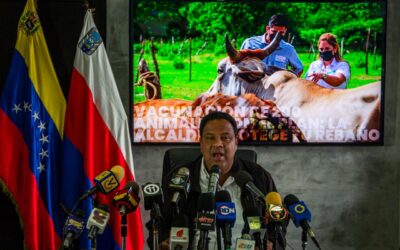 Alcaldía de Maracaibo arrancó el plan “Protege tu Rebaño” para vacunar más de 4 mil animales en la parroquia San Isidro