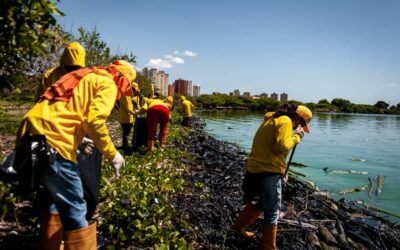 Más de 1,7 TON de desechos plásticos retiradas de las riberas del Lago por la Alcaldía de Maracaibo este fin de semana