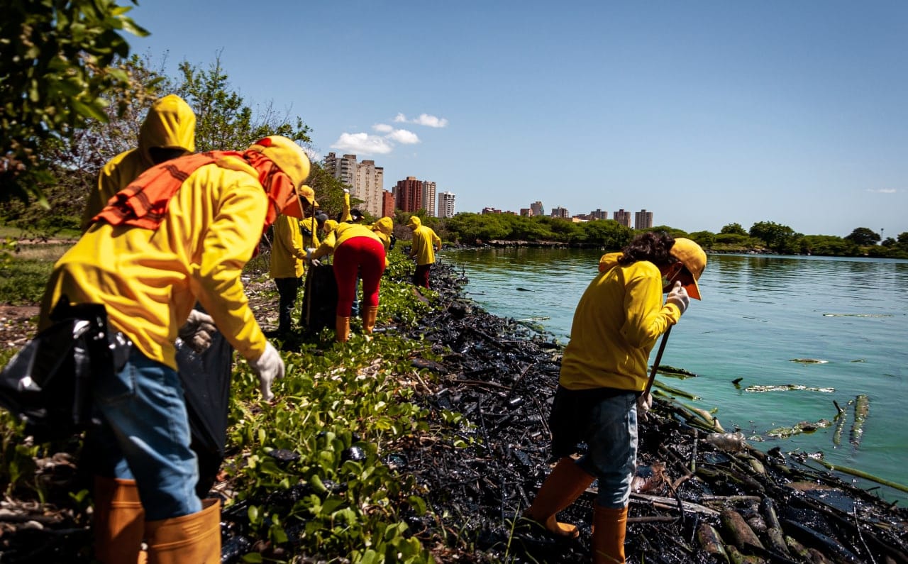 Alcaldía de Maracaibo Retira Más de 1,7 TON de plásticos del Lago