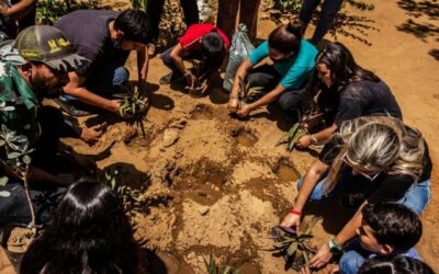 Gaiteritos del IMGRA plantaron más de 200 árboles por una Maracaibo Verde