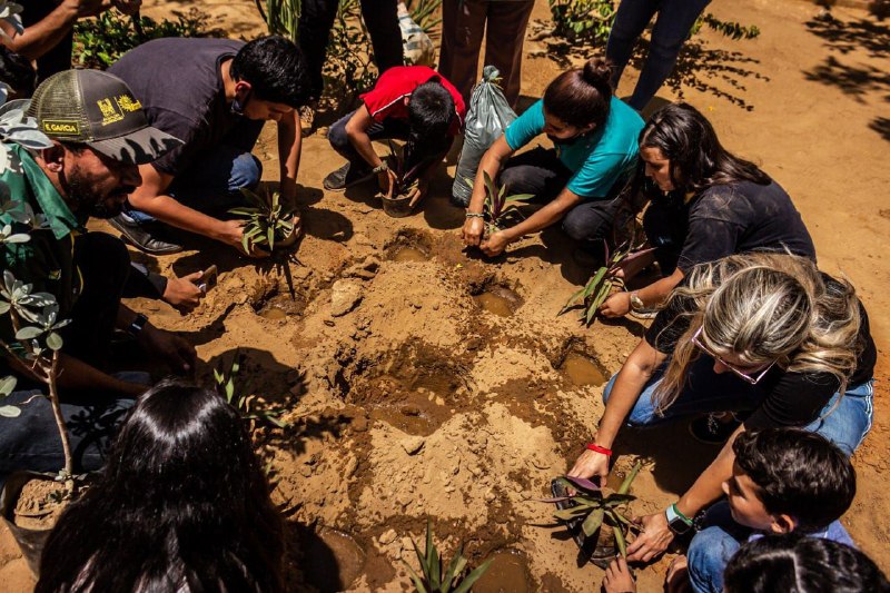 Gaiteritos del IMGRA plantaron más de 200 árboles