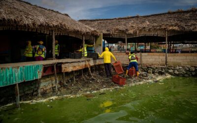 En 11 días, la Alcaldía de Maracaibo recolectó 54 TON de desechos en la ribera del Lago
