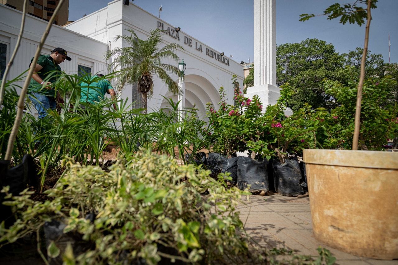 Más de 150 árboles, entre frutales y ornamentales, sembradas en la Plaza de la República con el Plan Maracaibo Verde