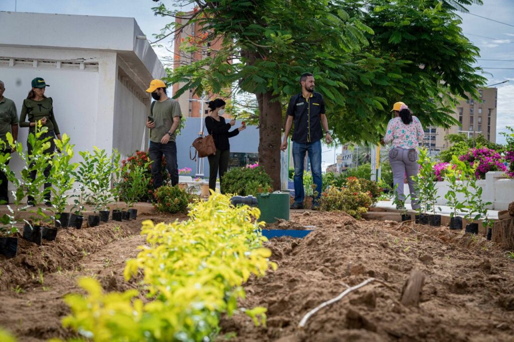 Más de 150 árboles, entre frutales y ornamentales, sembradas en la Plaza de la República con el Plan Maracaibo Verde