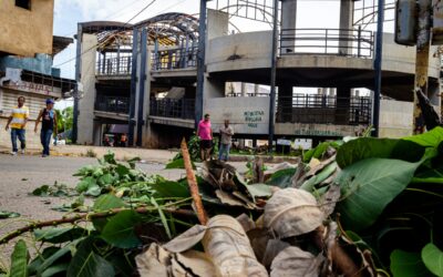 Para evitar sanciones, Alcaldía de Maracaibo recuerda su servicio especial de recolección de ramas