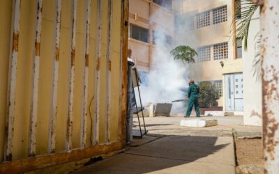 Plan Fumiga tu Residencia de la Alcaldía llega a 95 edificios de la urbanización El Pinar