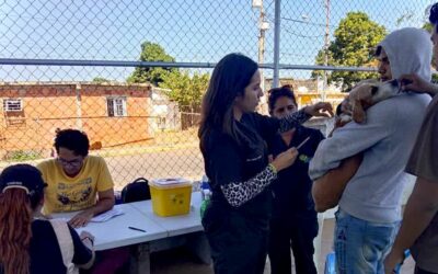 Plan de Vacunación Antirrábica de la Alcaldía de Maracaibo llegará a 9 parroquias en marzo