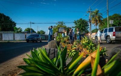 Con la siembra de 1.000 arbustos en plazas y corredores viales, la Alcaldía avanza con el Plan Maracaibo Verde