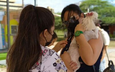 Con el Plan de Esterilización Cría Consciente, más de 1.200 gatos atendió la Alcaldía de Maracaibo durante el primer trimestre del 2023