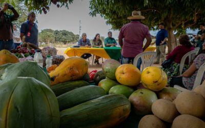 Productores agrícolas del oeste de la ciudad venderán sus productos en los Mercados del Sol
