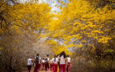 Más de 150 estudiantes disfrutan de la primavera amarilla del Jardín Botánico gracias a la Alcaldía de Maracaibo