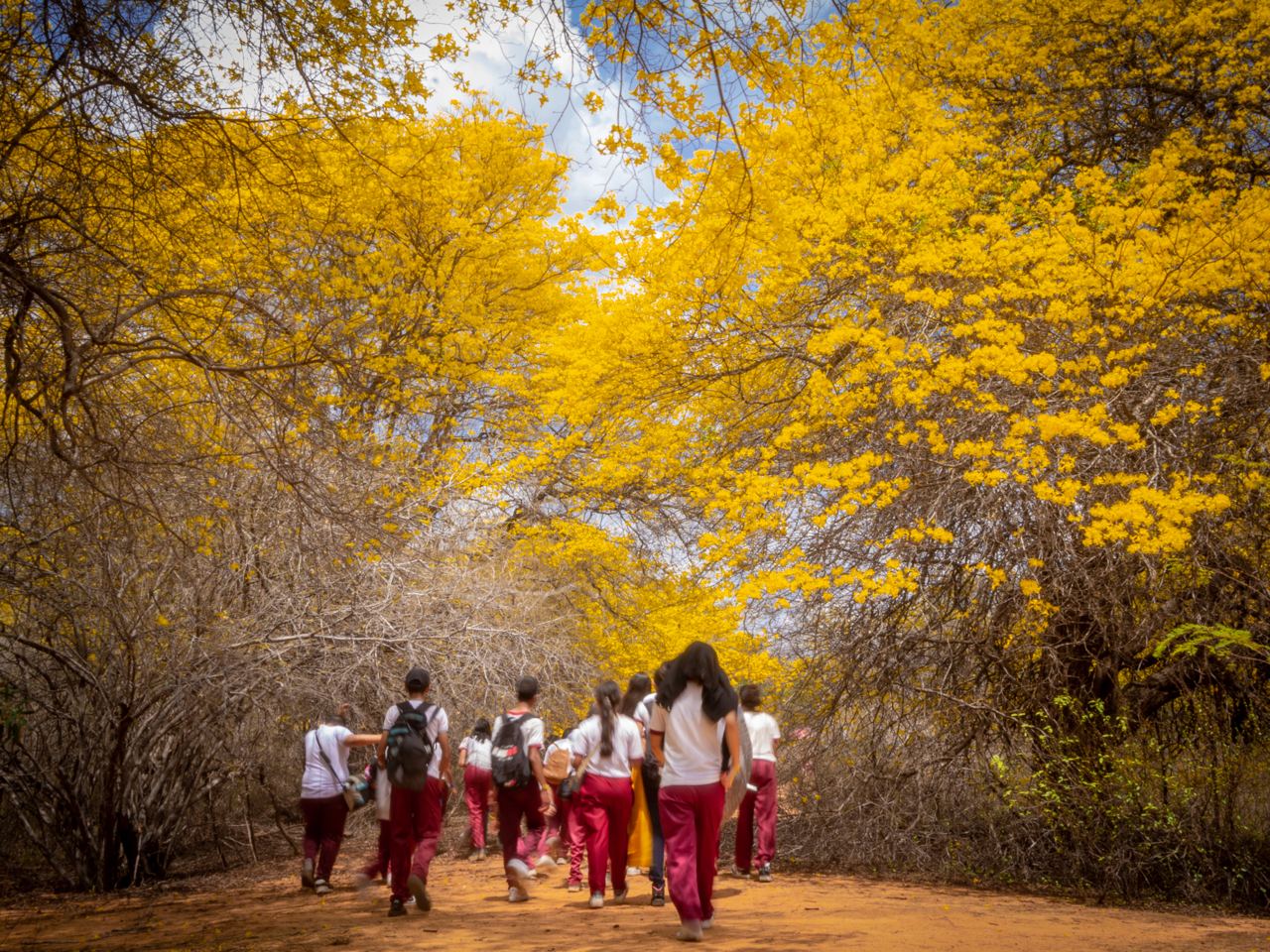 Estudiantes disfrutan de los curaries Jardín Botánico de Maracaibo