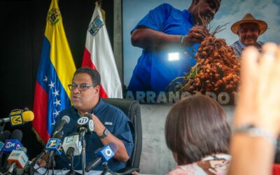 Maracaibo cosecha sus primeras 10 hectáreas de maní del ensayo en San Isidro