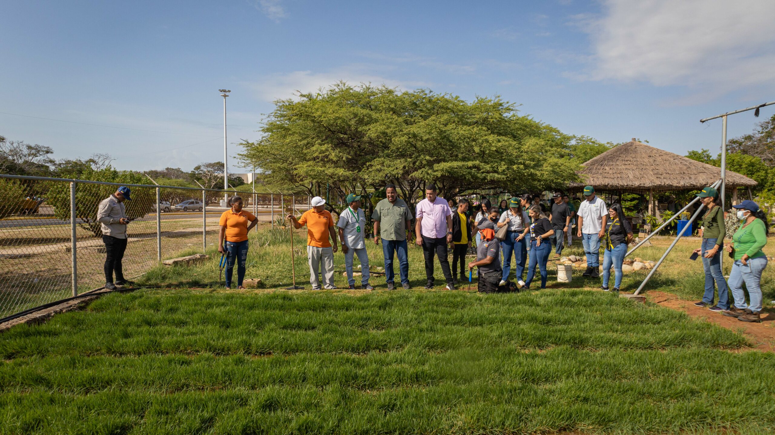 Alcaldía arranca siembra de grama del Plan Maracaibo Verde en el parque Vereda del Lago