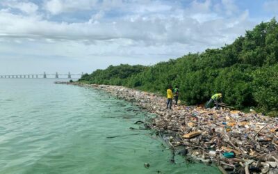 22 TON de desechos recolectó Alcaldía de Maracaibo con el Plan de Limpieza en las Riberas del Lago en Cristo de Aranza