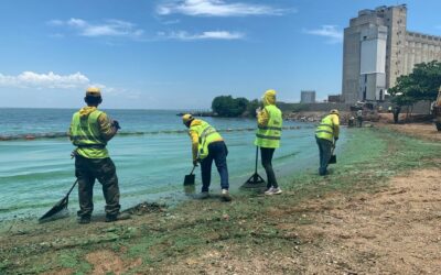 Con el Plan de Limpieza a las Riberas del Lago, Alcaldía de Maracaibo recolectó 4 TON de desechos y verdín en la parroquia Cristo de Aranza