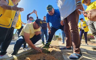 Alcaldía de Maracaibo y grupos ambientalistas sembraron 50 árboles autóctonos en la avenida 16 Guajira