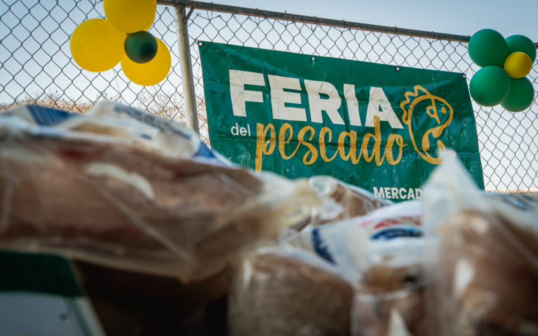 Feria del Pescado ofrece 10 especies del mar en diferentes puntos de Maracaibo