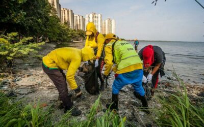 Alcaldía de Maracaibo enseña a vecinos de Isla Dorada a recolectar y elaborar ecobloques con desechos de la orilla del Lago